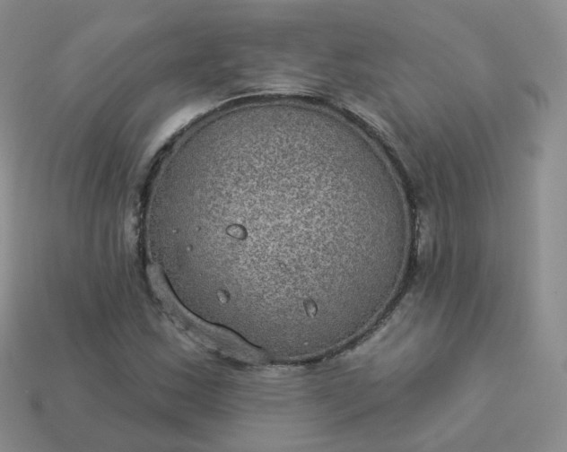 X0000114021163200910161750