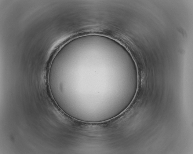 X0000114021164200910161750