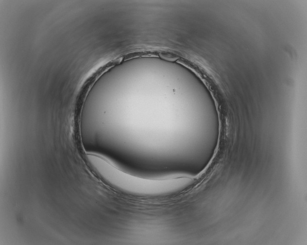 X0000114021165200910161750