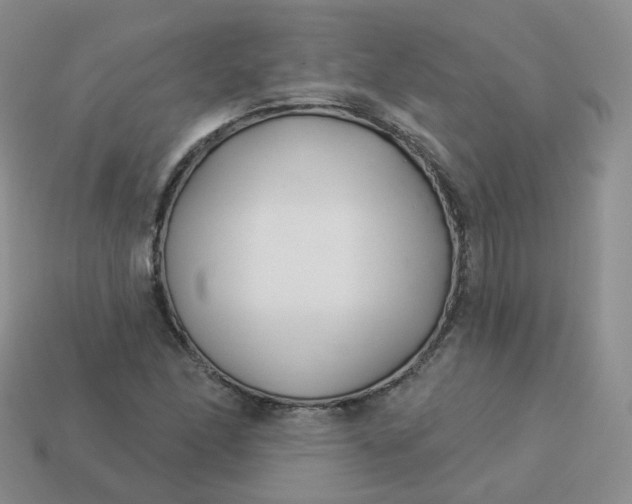 X0000114021166200910161750