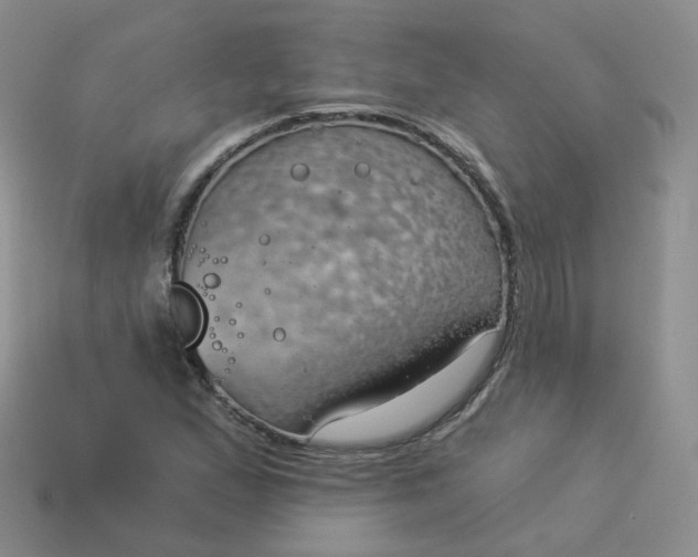 X0000114021167200910161750