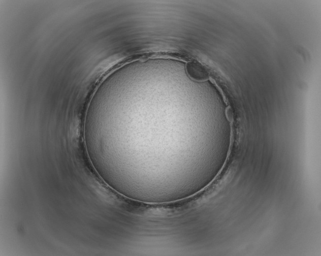 X0000114021169200910161750