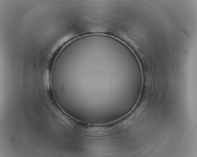 X0000114021171200910161750