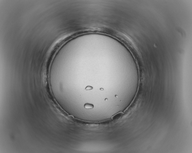 X0000114021172200910161750