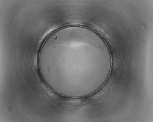 X0000114021174200910161750