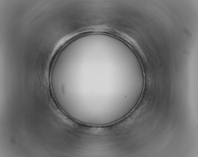 X0000114021176200910161750