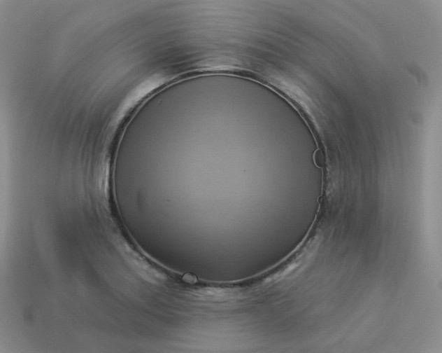 X0000114021179200910161749