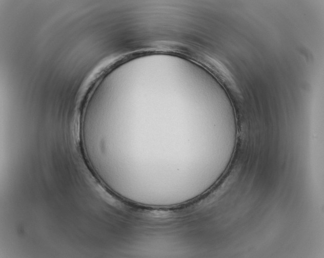 X0000114021180200910161749