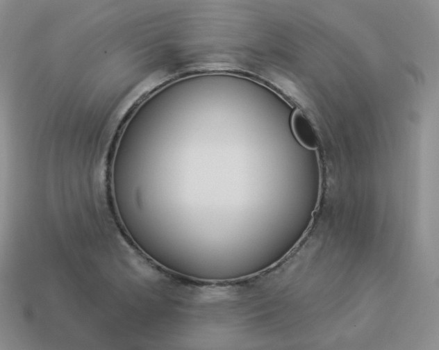 X0000114021181200910161749