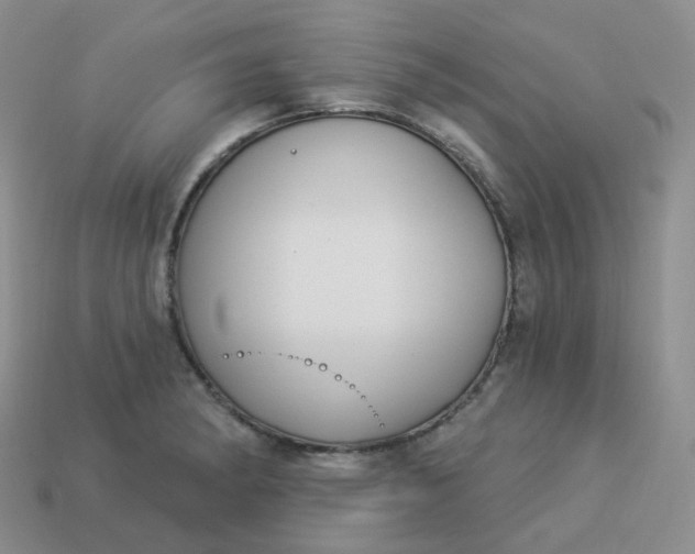 X0000114021182200910161749