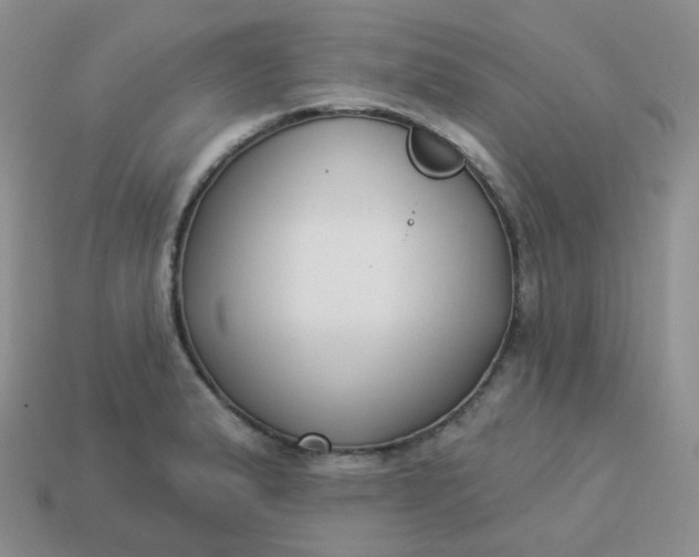 X0000114021183200910161749