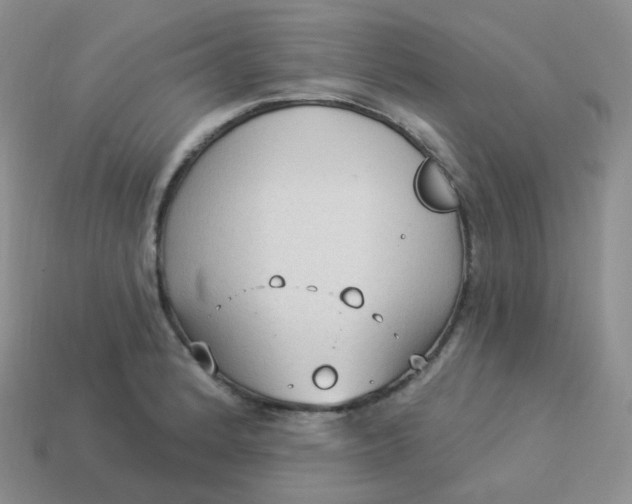 X0000114021184200910161749