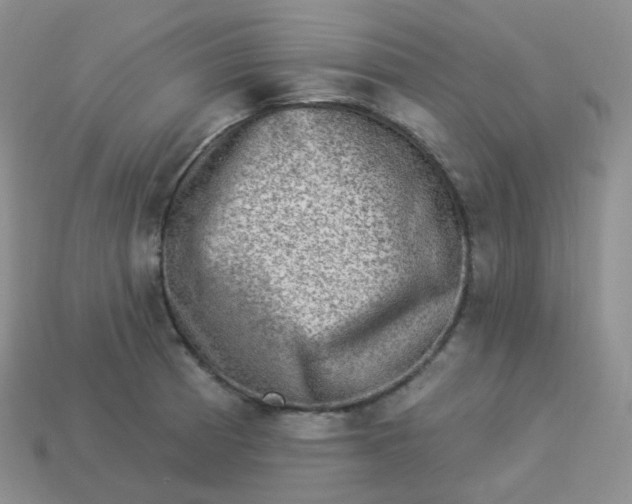 X0000114021185200910161749