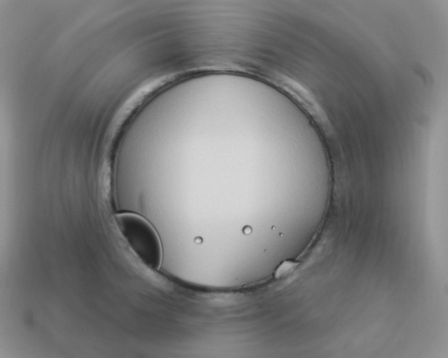 X0000114021188200910161749