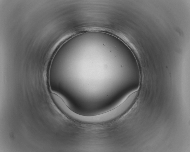 X0000114021189200910161749