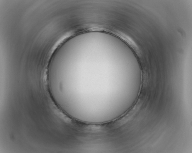 X0000114021190200910161749