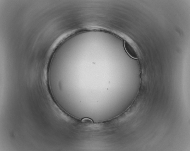 X0000114021191200910161749