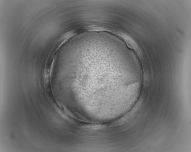 X0000114021193200910161749