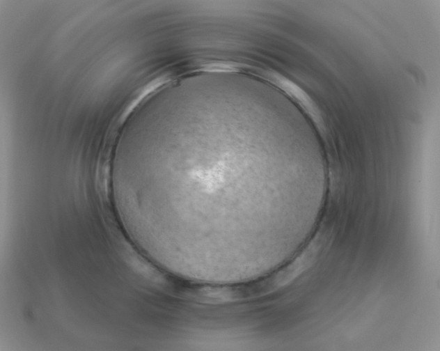 X0000114021194200910161749