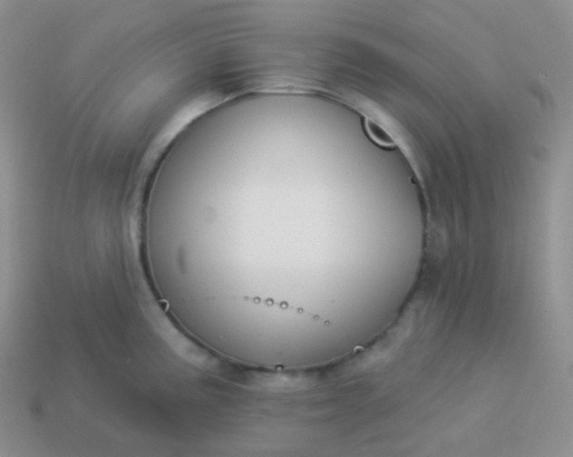 X0000114021195200910161749