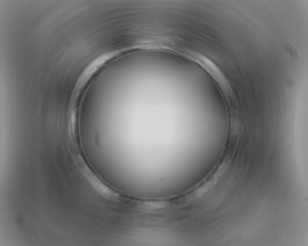 X0000114021196200910161749