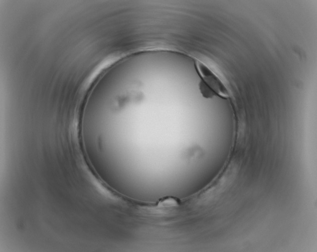 X0000114021197200910161749