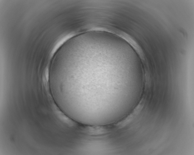 X0000114021198200910161749