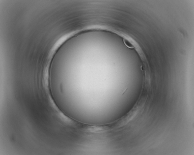 X0000114021199200910161749