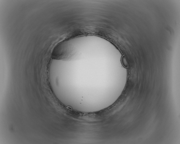 X0000114021201200910161748