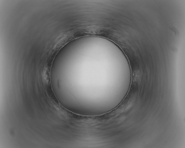 X0000114021202200910161749