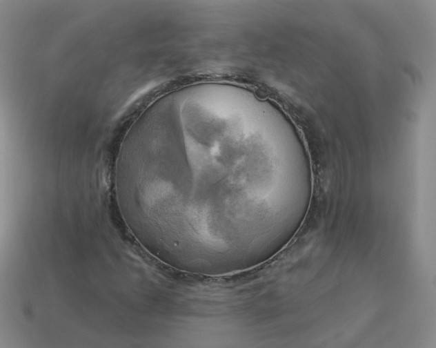 X0000114021206200910161749