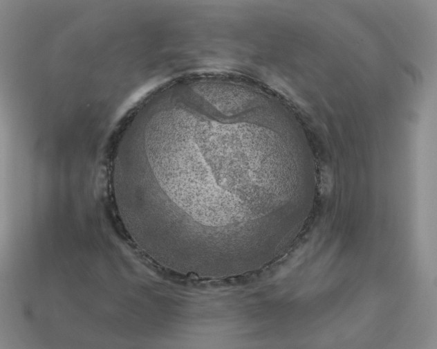 X0000114021208200910161749