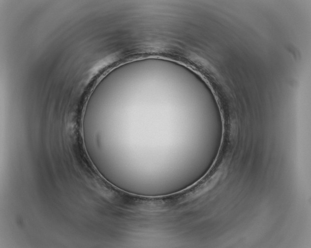 X0000114021210200910161749