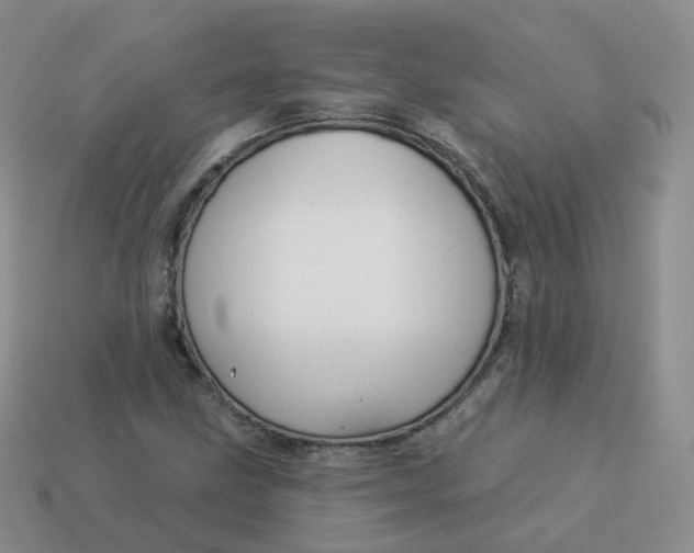 X0000114021211200910161749