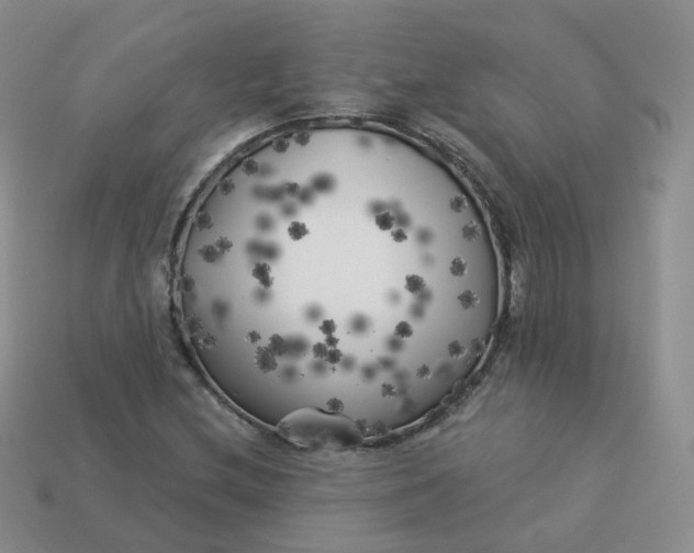 X0000114021212200910161749