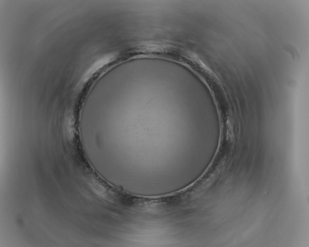 X0000114021213200910161749