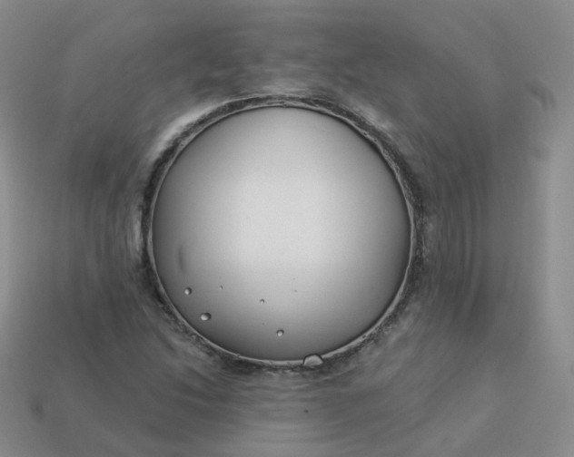 X0000114021214200910161749