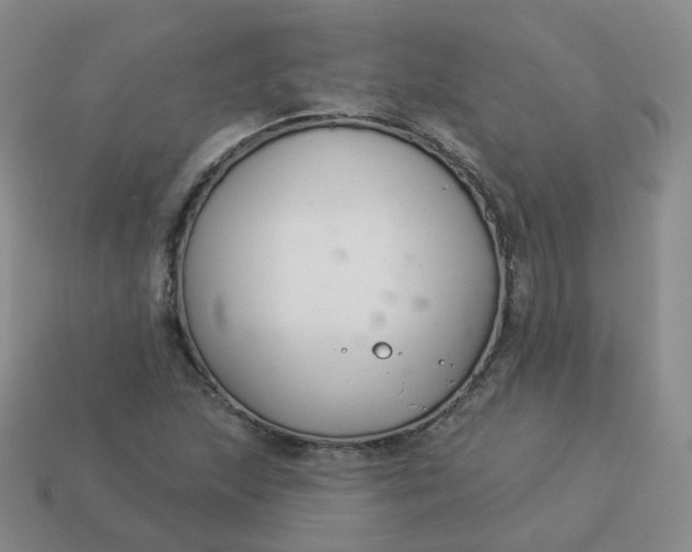 X0000114021215200910161749