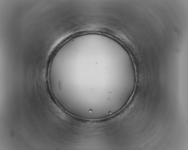 X0000114021216200910161749