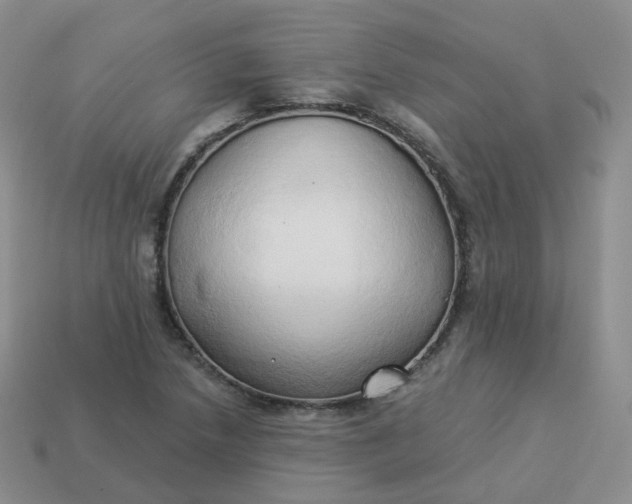 X0000114021218200910161749