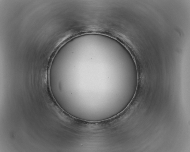 X0000114021220200910161749