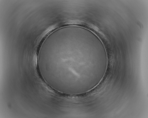 X0000114021221200910161749