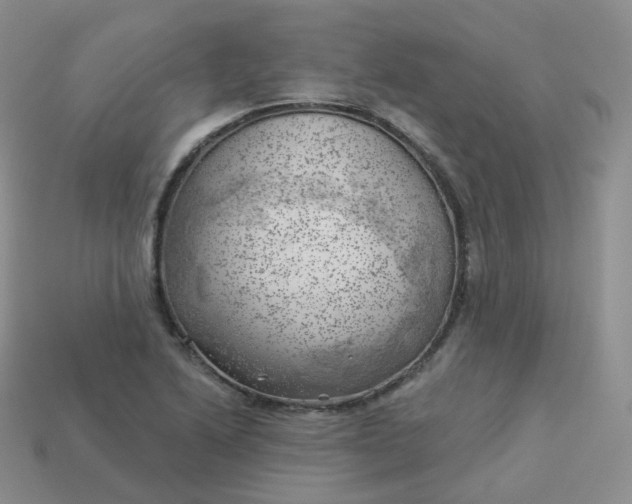 X0000114021222200910161749