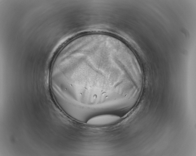 X0000114021224200910161749