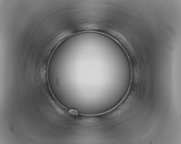 X0000114021225200910161749