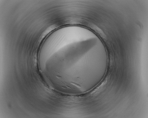 X0000114021226200910161749