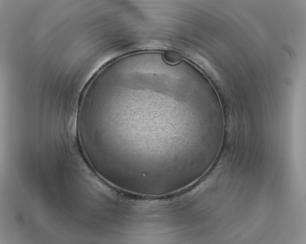 X0000114021228200910161749