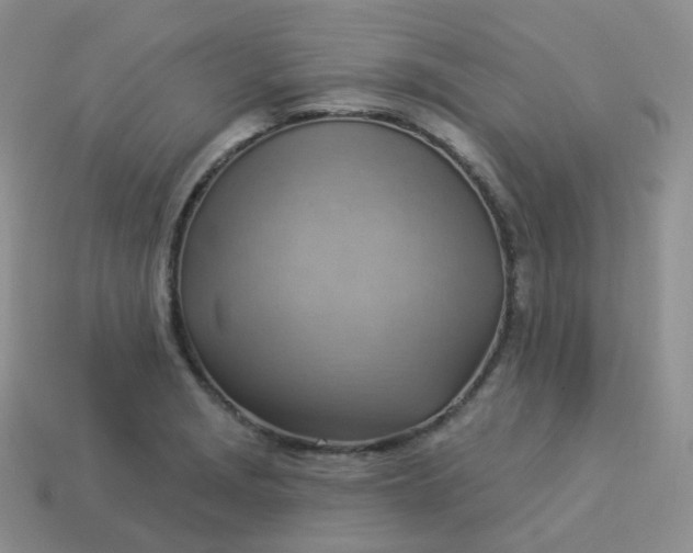 X0000114021229200910161749