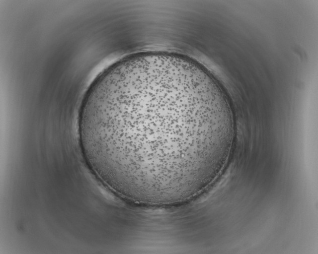 X0000114021230200910161749