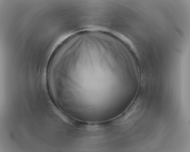 X0000114021231200910161749